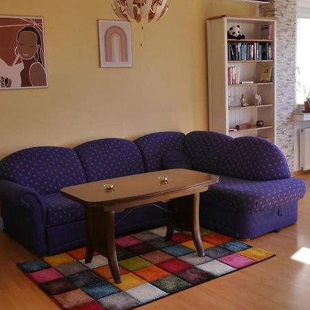 Großzügige Wohnung mit Herkulesblick nähe Uni Kassel Exterior foto